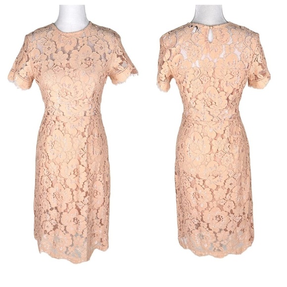 NSR x Revolve beige lace midi dress short sleeves sheer at waist sz small - Picture 3 of 15